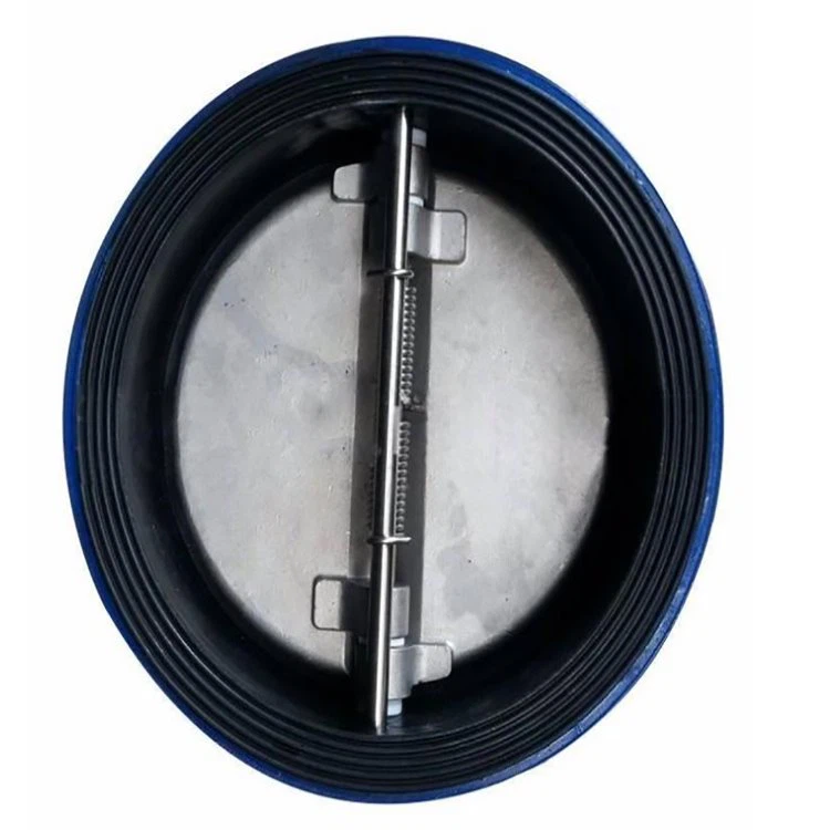 Rubber Lined Dual Plate Check Valve