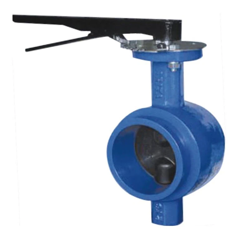 Shouldered Butterfly Valve