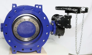 Yuav siv ob npaug eccentric npauj npaim valve li cas?