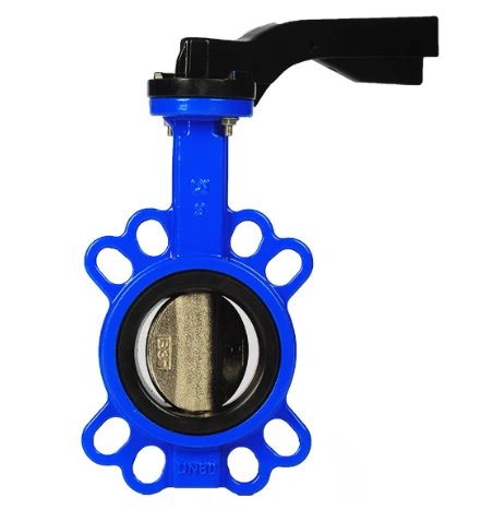 Mos Foob Lug Hom Phau Ntawv Ua Haujlwm Cast Iron Dej Npauj Npaim Valve Chaw tsim tshuaj paus