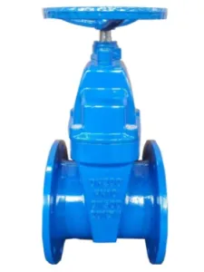 Resilient Seated Gate Valve